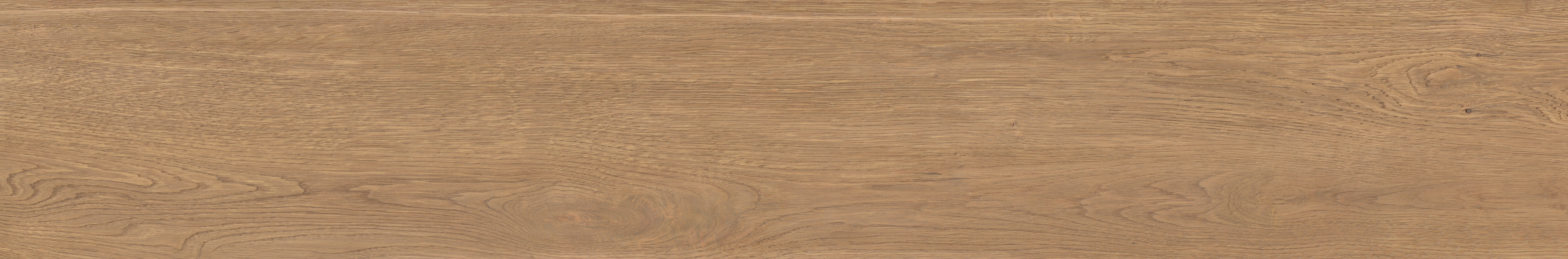 OMBRE Nature Texture Detail