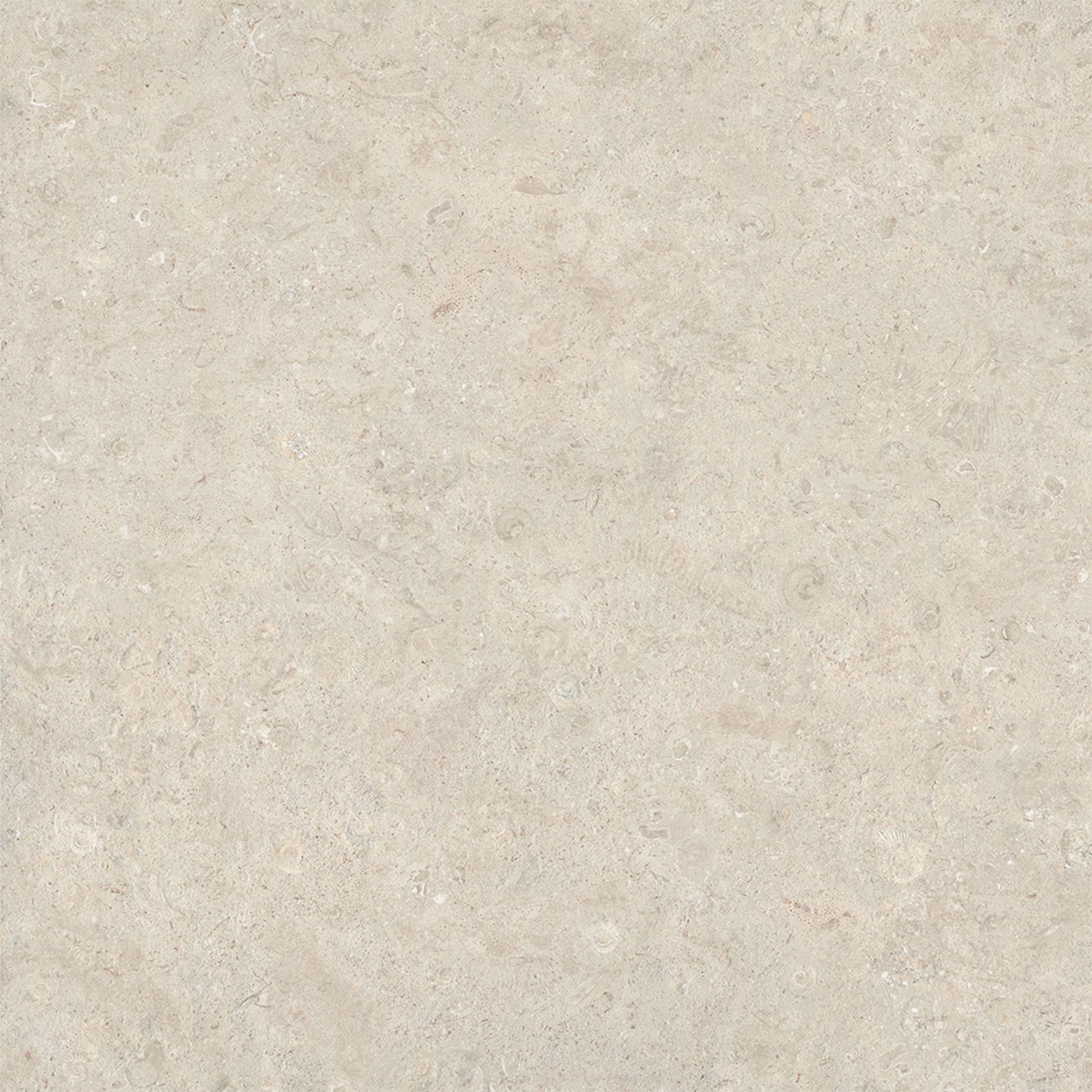 Coral Stone Calcite