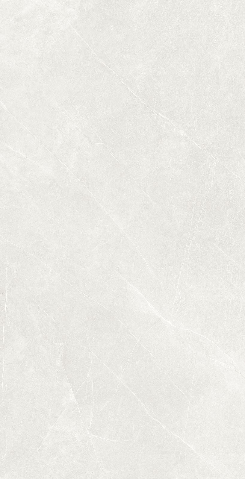 Rebel White